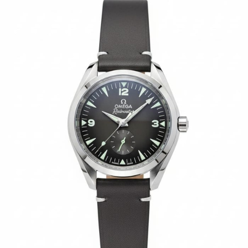 Omega Seamaster Railmaster Black Watch